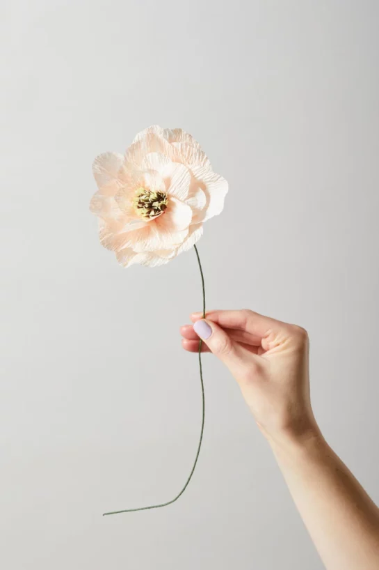 Paper Poppy Nude