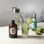 Sirop Mojito